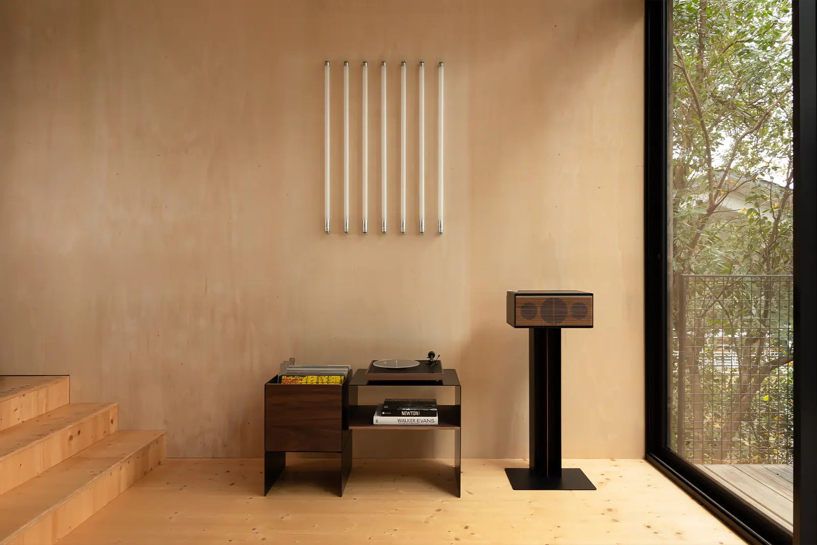 cabinet viniyle e diffusore hi-fi